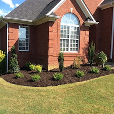 Shrubs-Sod 14